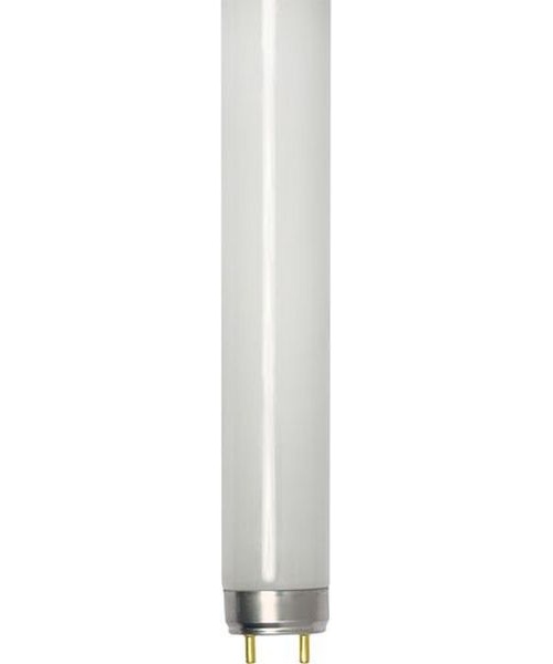 Néon (Tube Fluo) pour AQUARIUM T8 G13 18W 850