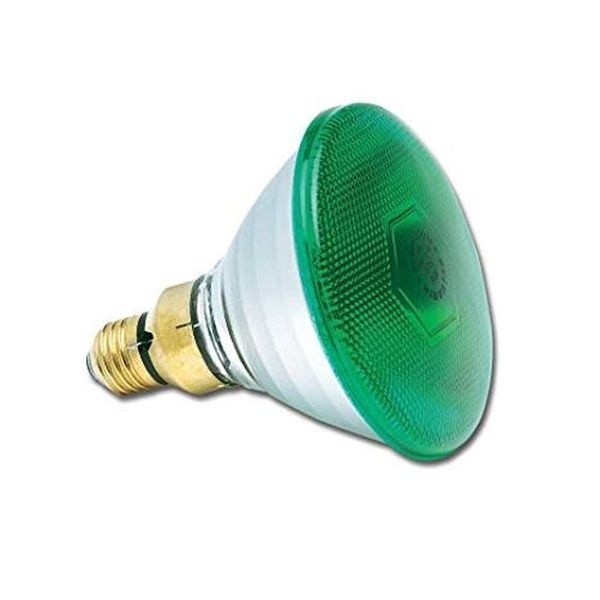 Ampoule incand. PAR38 ø120mm Verte 80W E27