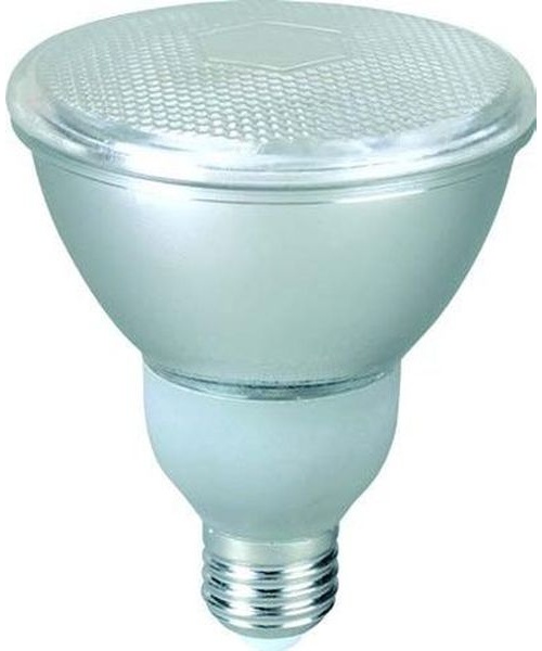 Ampoule incandescente PAR 38 15W E27