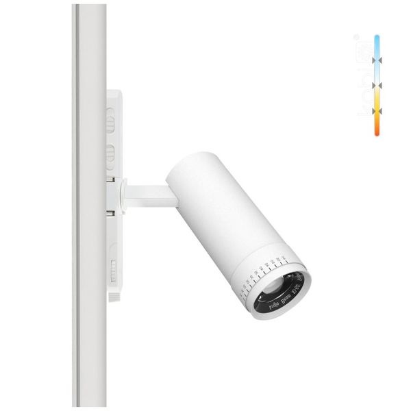 Projecteur rail 3Phases Nextrack Vision 10W 900Lm 3CCT 10°-60° Blanc IRC90 - Pro