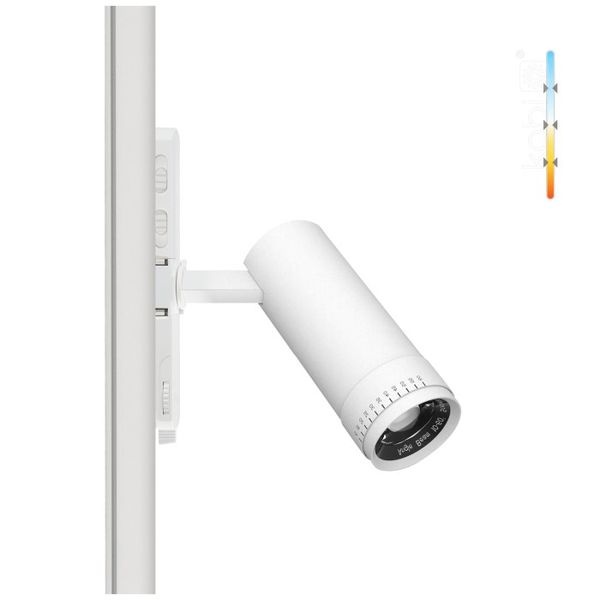 Projecteur rail 3Phases Nextrack Vision 20W 1800Lm 3CCT 10°-60° Blanc IRC90 - Pro