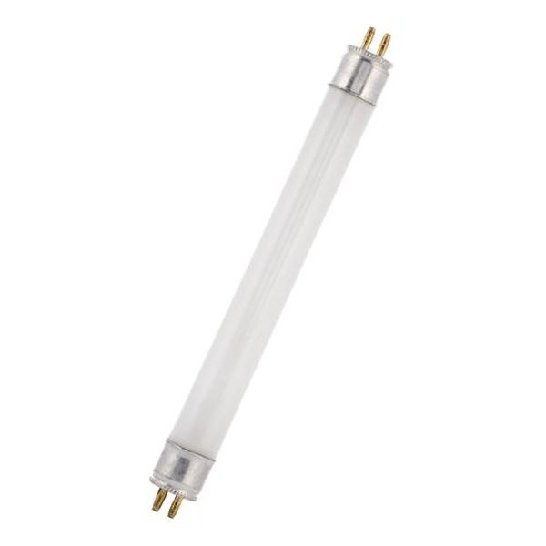 Tube G5 8W 16x288 - UV Actinique/Blacklight