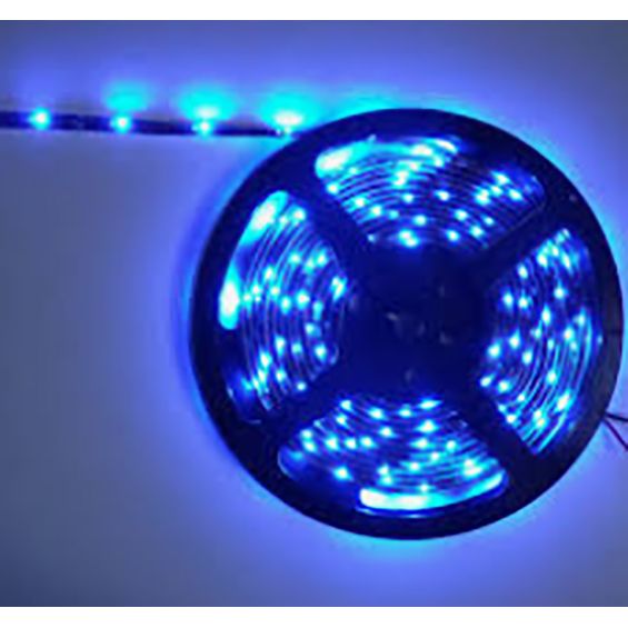Strip LED BLEU 4w/m IP65 SMD3528-90SP 36V 12mm - Vendu au m