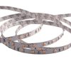 Strip LED IP20 SMD3528 4.2W/m 294L/m 6000K 24V 5mx8mm - Image 2