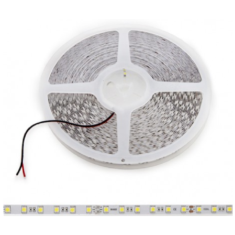 Strip LED BLANC 4w/m IP65 SMD352890SP 36V 12mm Vendu au m