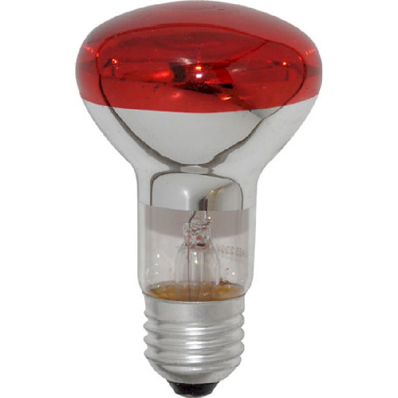 Lot De 5 Ampoules Réflecteur R63 60W E27 - Blanc Mat, Dimmable, Pour Toutes Les Pièces