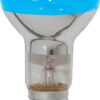 Ampoule spot incandescente réflecteur R80 E27 60W Bleue